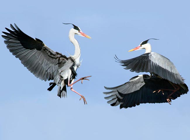 بدون شرح