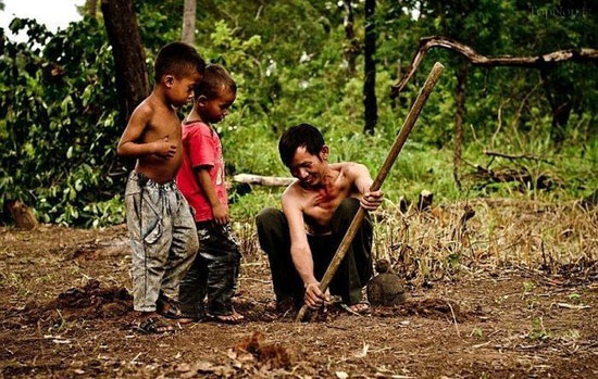 فست فود از نوع كامبوجي! (عکس)