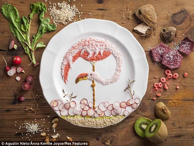 پرنده‌هایی از جنس غذا (عکس)
