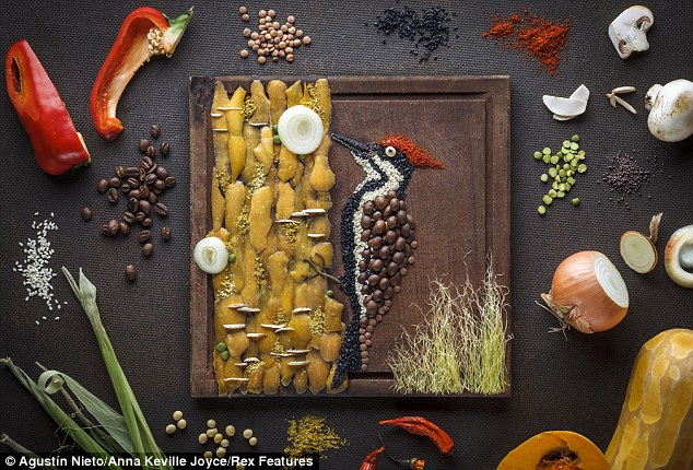 پرنده‌هایی از جنس غذا (عکس)