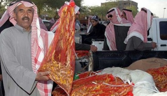 مصرف زیاد ملخ در ماه مبارک رمضان! (+عکس)