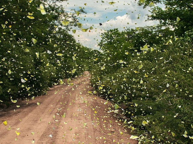 دیدنی های امروز