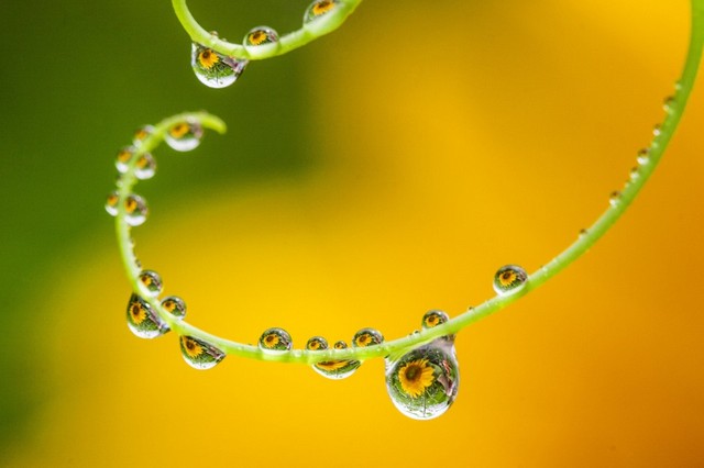 دیدنی های امروز