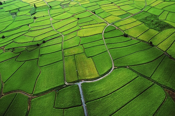 طبیعت(عکس)
