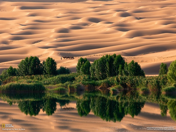 مناظر فوق العاده(عکس)
