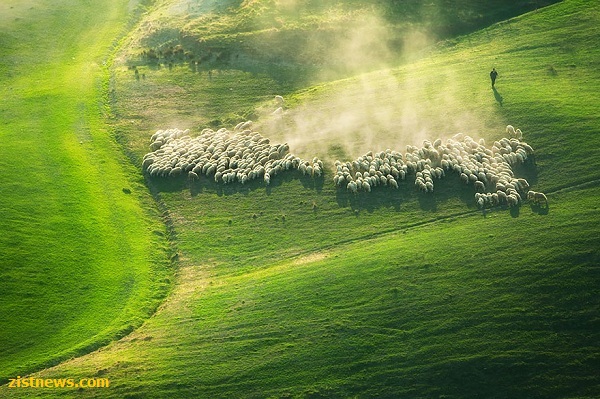 ابرهایی روی زمین!(عکس)