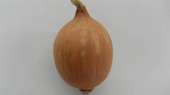 این پیازهای ژاپنی اشکتان را در نمی‌آورند! (+عکس)