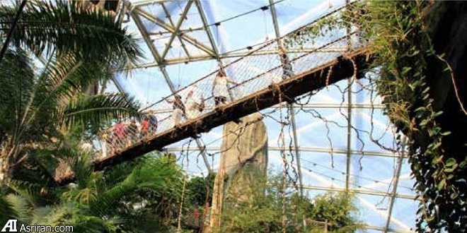 در پردیسهای آیندهنگر شرکتهای فناوری در پردیسهای آیندهنگر شرکتهای فناوری