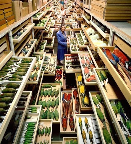 الماس امید کجاست؟ (+عکس) الماس امید کجاست؟ (+عکس)