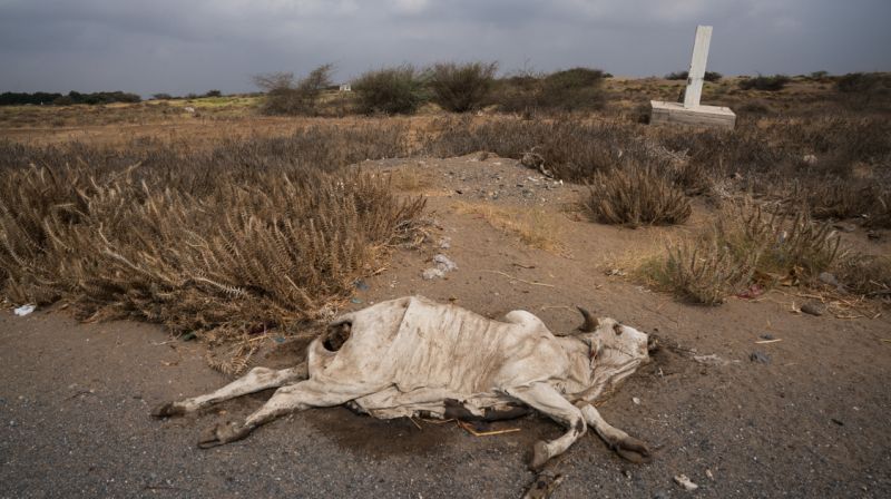 خطر خشک شدن یک چهارم زمین در 30 سال آینده