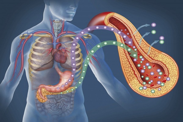 اقدامی ساده در راستای مقابله با دیابت اقدامی ساده در راستای مقابله با دیابت