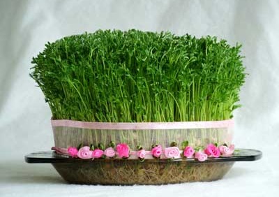 به حرمت آب و آیینه، به پاسداشت بهار #میبخشم به حرمت آب و آیینه، به پاسداشت بهار #میبخشم