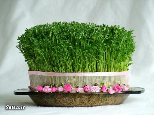 آقای شهردار! هم سبزه سبز میکنیم هم درخت میکاریم/ شما نیز چنین کنید آقای شهردار! هم سبزه سبز میکنیم هم درخت میکاریم/ شما نیز چنین کنید