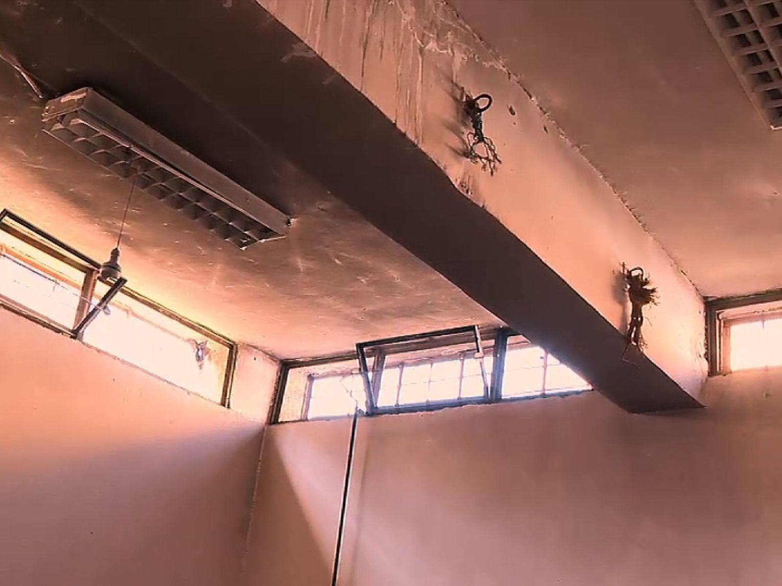 وحشت عریان در