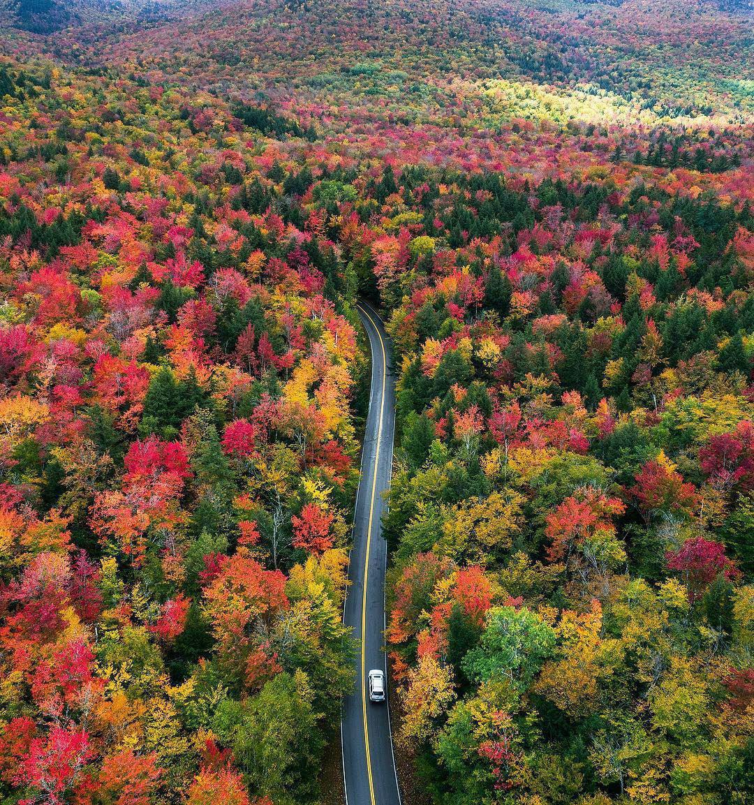 طبیعت پاییزی کلورادو (عکس)