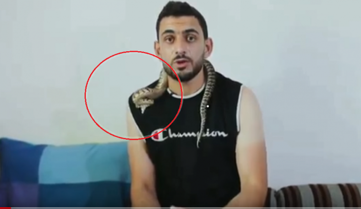 حمله افعی به یک کارشناس در برنامه زنده (+عکس) حمله افعی به یک کارشناس در برنامه زنده (+عکس)