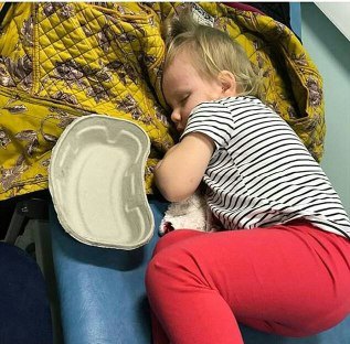 بیماری مرگبار در چنگ گربه‌های خانگی (+عکس)