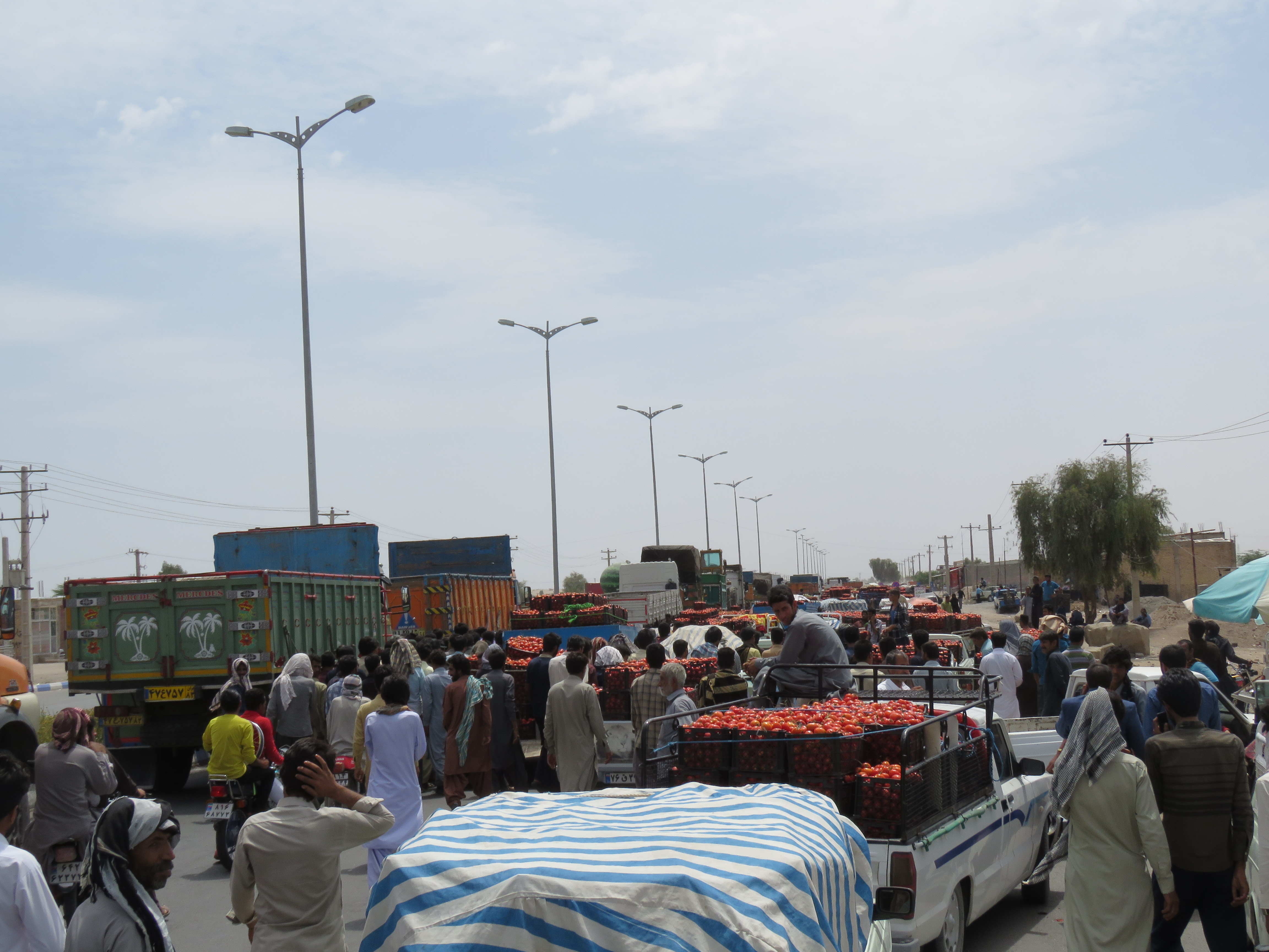 کشاورزان معترض، جاده ترانزیتی رودبار-جازموریان را بستند/ اگر محصول را الساعه نخرند، همه‌اش از بین خواهد رفت / گزارش رجانیوز از وضع اسفبار کشاورزان جنوب کرمان که صدایشان به هیچکس نمی‌رسد (+عکس)