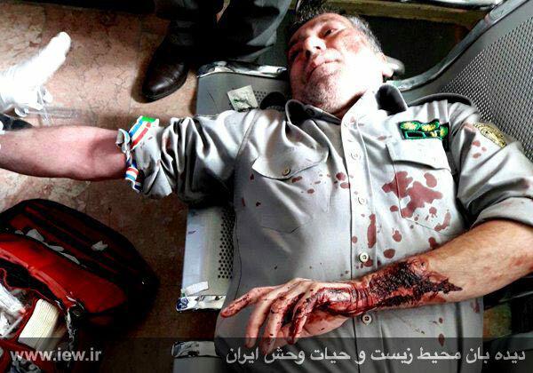 دستگیری عامل ضرب و شتم محیط بان خرم آبادی دستگیری عامل ضرب و شتم محیط بان خرم آبادی