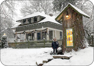 کتابخانه کوچک درختی (عکس)