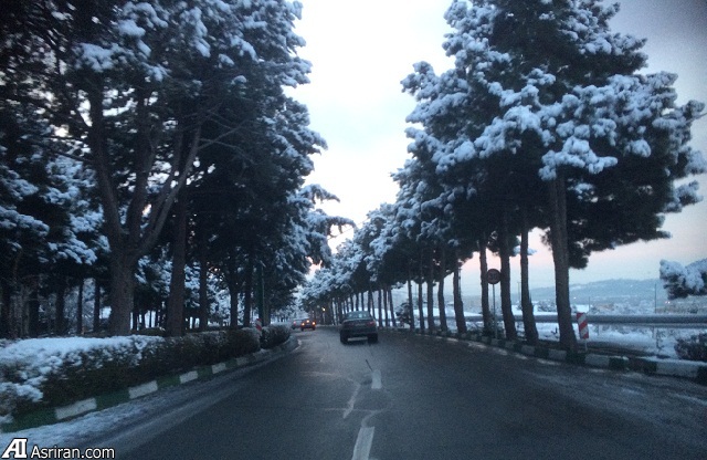 اعلام مهمترین علل تصادفات درونشهری در فصل زمستان اعلام مهمترین علل تصادفات درونشهری در فصل زمستان