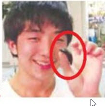 زندگی عاشقانه با سوسک!