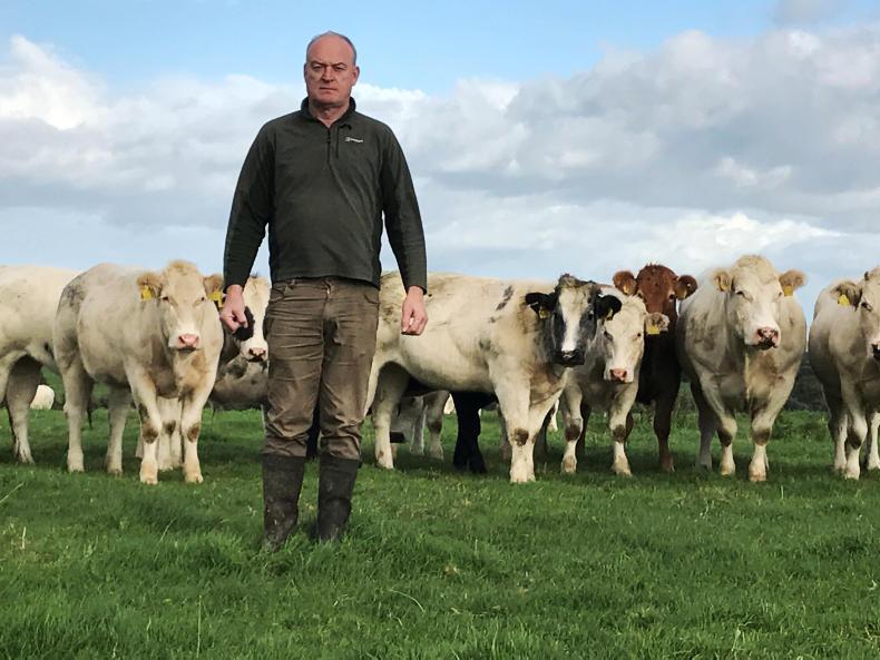 درخواست دامداران ایرلندی برای بازگشایی سفارت ایرلند در تهران درخواست دامداران ایرلندی برای بازگشایی سفارت ایرلند در تهران