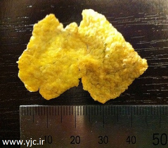 مزایده های باورنکردنی در اینترنت (+عکس) مزایده های باورنکردنی در اینترنت (+عکس)