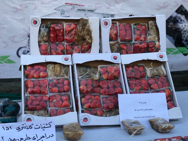 کشف تریاکفرنگی در ترهبار (+عکس) کشف تریاکفرنگی در ترهبار (+عکس)