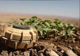 ایلام؛ انفجار مین در شهرستان دهلران یک کشته برجای گذاشت