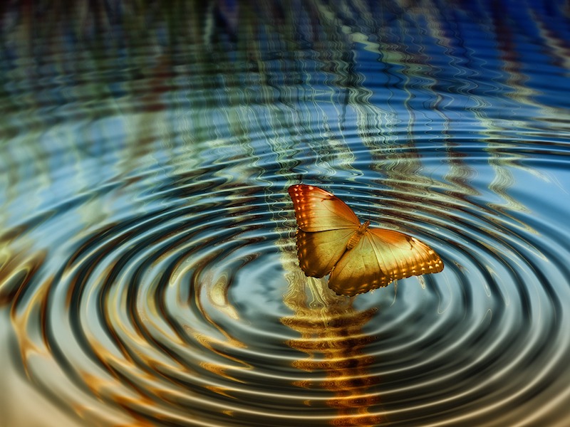 شادی یک انتخاب رایگان است شادی یک انتخاب رایگان است