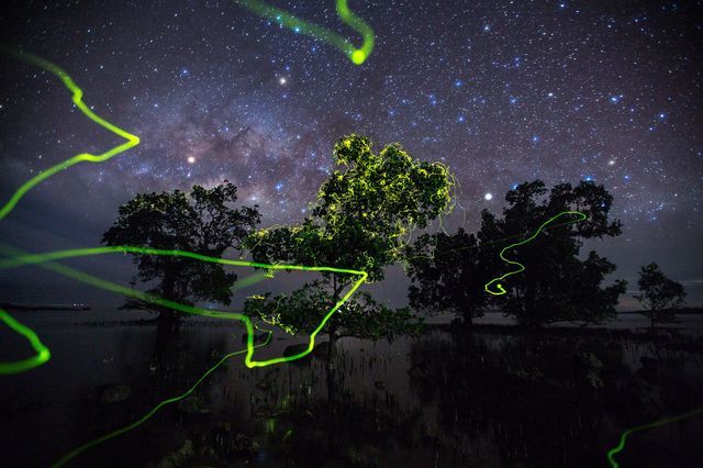 عکس منتخب نشنال جئوگرافیک