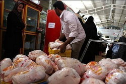 مرغ را گران‌تر از ۸۲۰۰ تومان نخرید