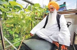 دعای راهب هندی راز رشد عجیب گیاهان (+عکس) دعای راهب هندی راز رشد عجیب گیاهان (+عکس)