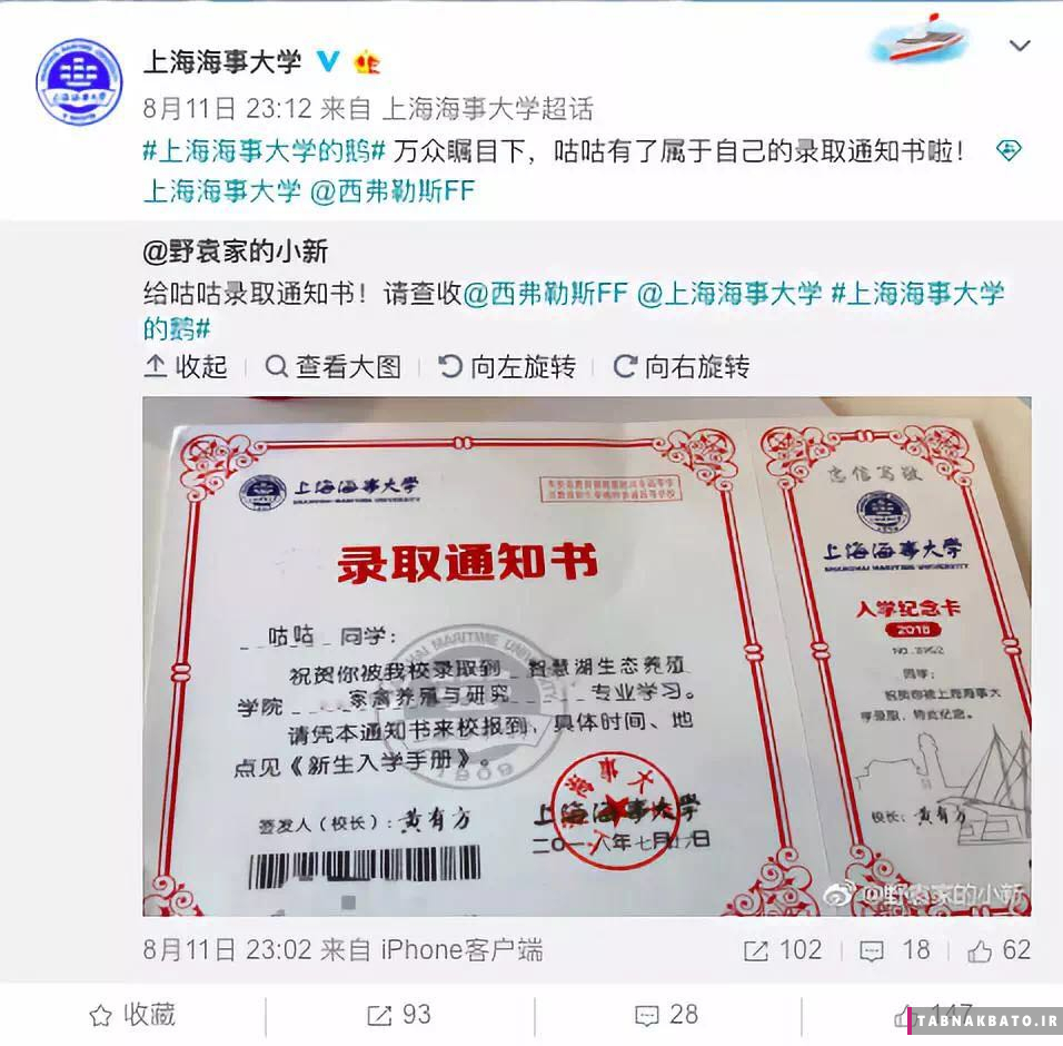 پذیرش یک غاز در دانشگاه شانگهای چین (+عکس)