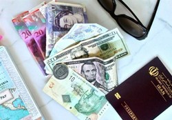 احتمال حذف ارز مسافرتی تا چند روز آینده