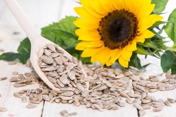 دانههای شفابخش! دانههای شفابخش!