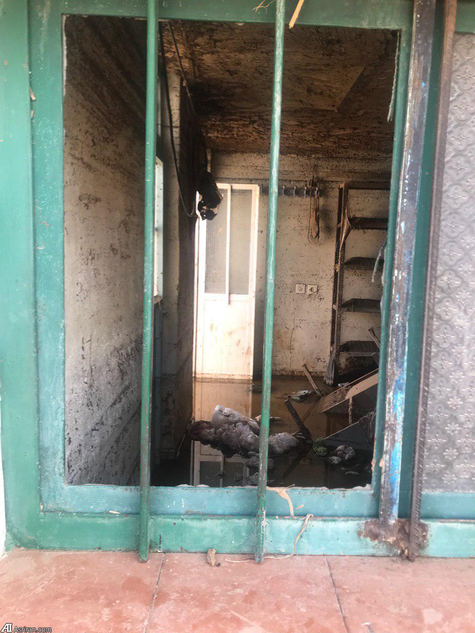 اهالی ده هنوز هم دل نکنده‌اند از «بابازید» سیل زده!