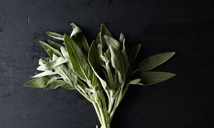 5 روش خانگی برای مقابله با بوی بد پا 5 روش خانگی برای مقابله با بوی بد پا