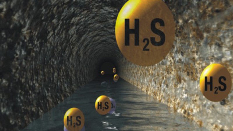 گازهای خالص چگونه گازهایی هستند؟ گازهای خالص چگونه گازهایی هستند؟