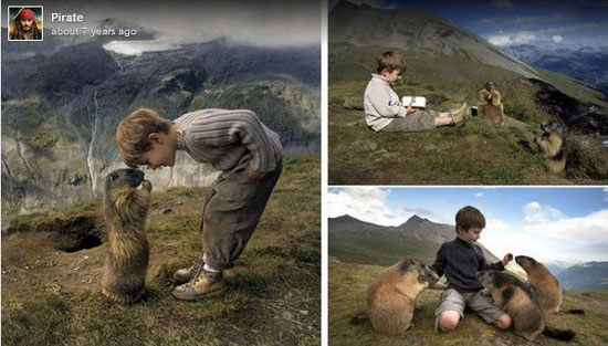 پیوند عجیب و عمیق پسربچه اتریشی با مارموتهای آلپ مارموتهای آلپ