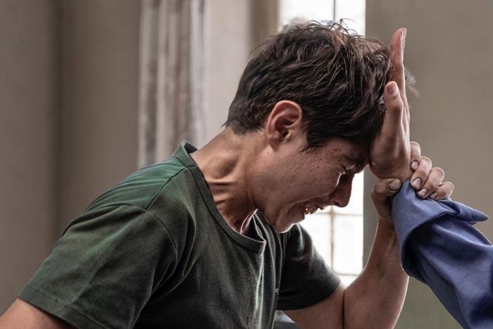 روز آخر جشنواره فجر در سینمای رسانه ؛ فیلمها و حاشیهها (+عکس) خورشید