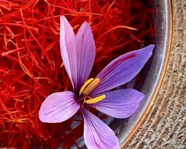 افزایش قیمت زعفران ایران به بیش از ۱۰۰۰ دلار افزایش قیمت زعفران ایران به بیش از ۱۰۰۰ دلار