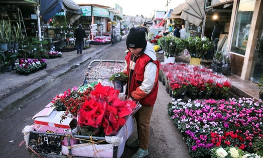 آتش «کرونا» به جان بازار گل تهران/ گرسنگی تا اطلاع ثانوی!