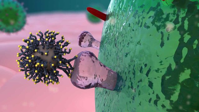 موفقیت محققان کشور برای درمان التهاب ریه مبتلایان به کرونا با ترکیب سه دارو ترکیب سه دارو