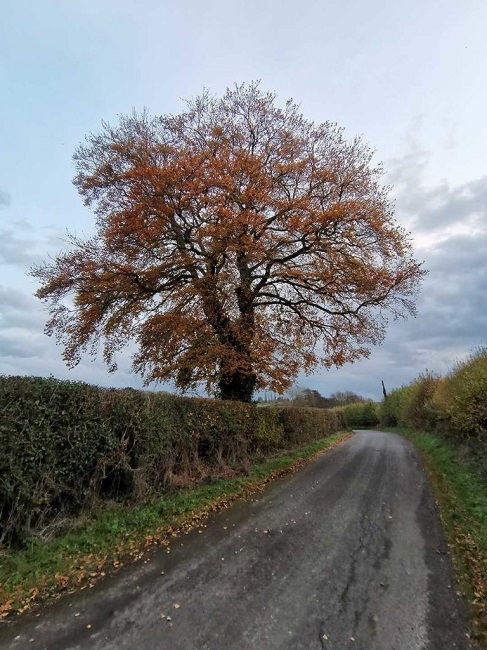 رسانه‌های معتبر دنیا درباره گوشی Huawei Nova 5T چه می‌گویند؟