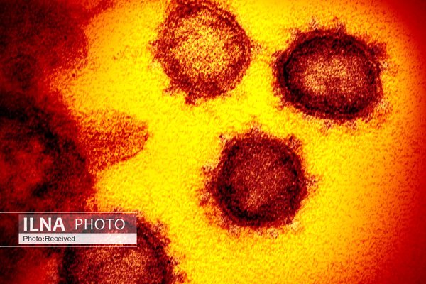 «کرونا» سراغ دانمارک هم رفت «کرونا» سراغ دانمارک هم رفت