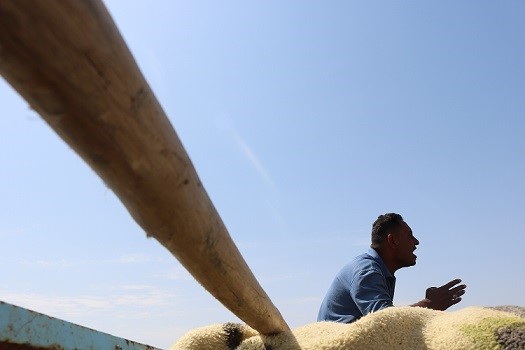 فاتحانِ خشمگین آب‌های گِل‌آلود