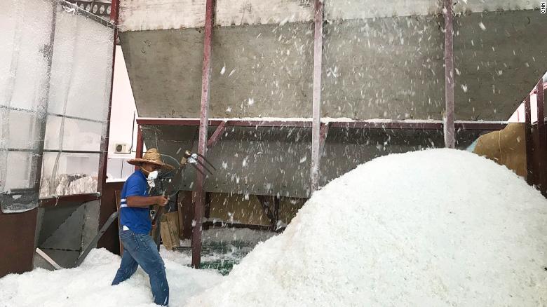 زباله‌های پلاستیکی آمریکا به کجا می‌رود؟