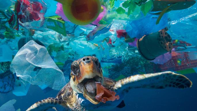 کانادا: یکبار مصرفهای پلاستیکی  کانادا: یکبار مصرفهای پلاستیکی